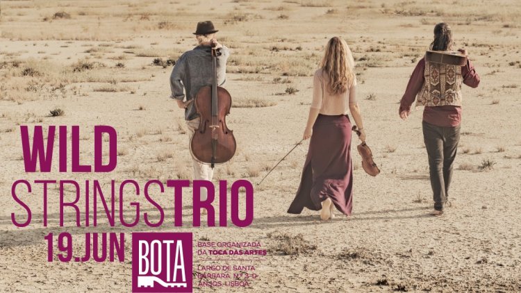 Wild Strings Trio - Bota