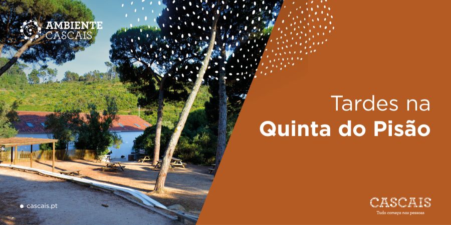 Tardes na Quinta do Pisão