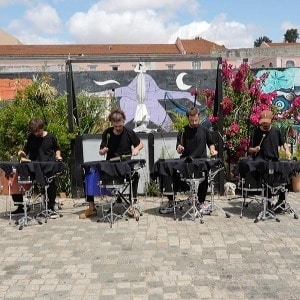 Ensemble Hemiptera - S.M.U.P