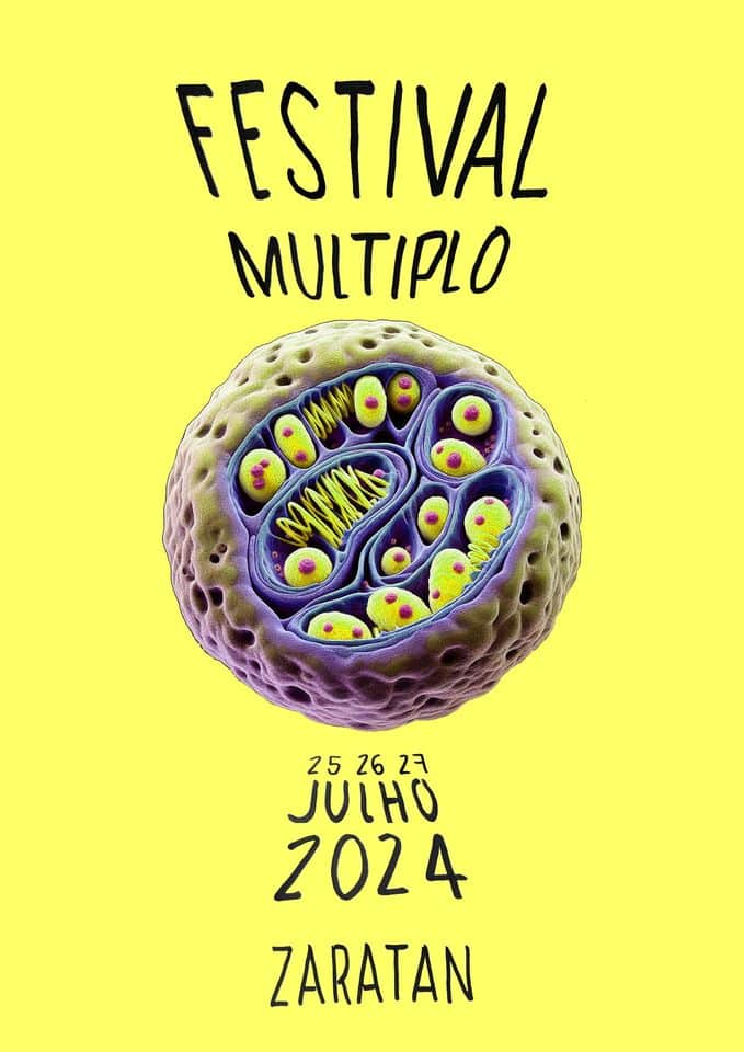FESTIVAL MÚLTIPLO - Zaratan - Arte Contemporânea
