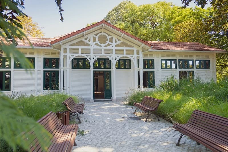 Alterações Climáticas e Cultura (1)