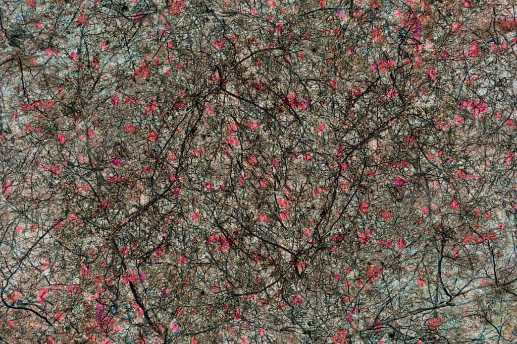 Edgar Martins - Anton’s Hand is Made of Guilt...