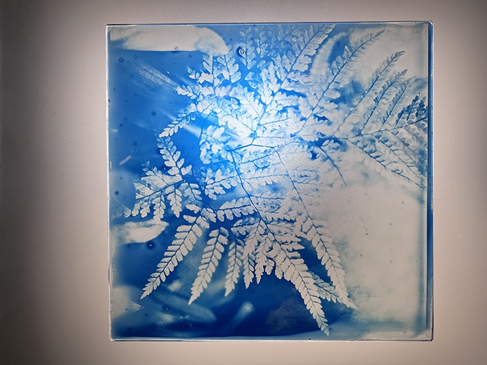 Herbário de Vidro num Puzzle Azul - Oficina de Cianotipia em Vidro