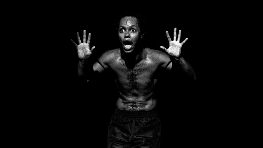 Macacos, de Clayton Nascimento