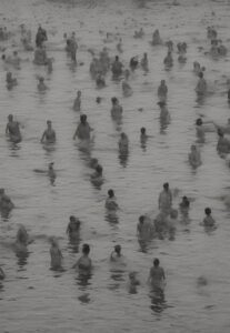O LAGO DOS CISNES | DANIEL GORJÃO