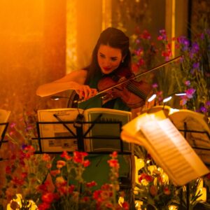 Candlelight - Bridgerton