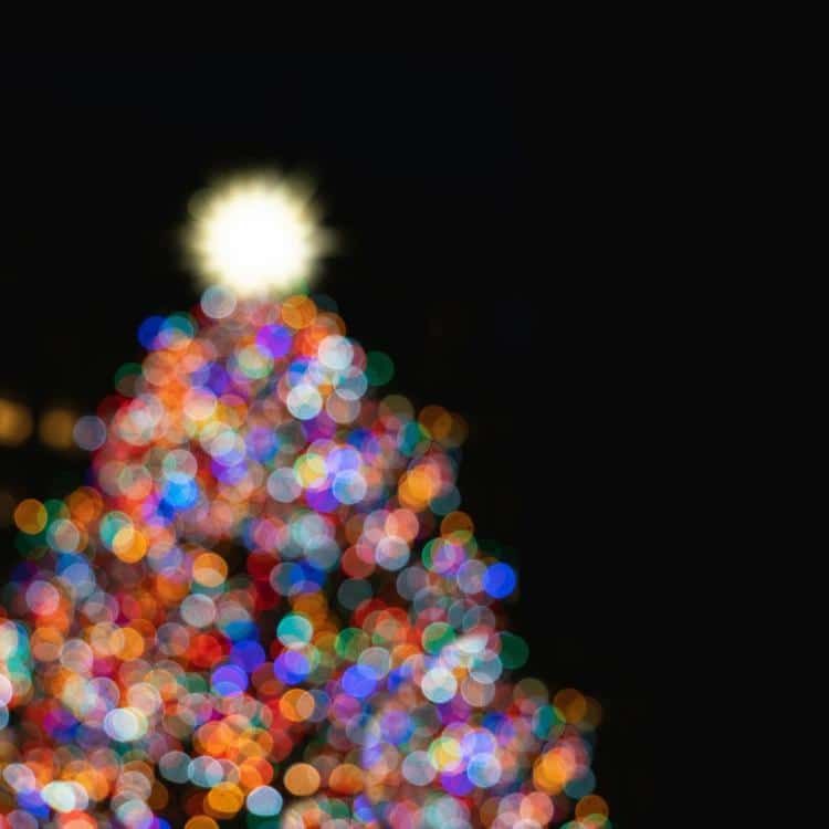 15:30 Concerto de Natal da Escola Profissional da Metropolitana SÁB07Dezembro2024 Concerto de Natal da Escola Profissional da Metropolitana DestacarCalendário Guardar Concertos Lisboa Ver mapaBasílica da Estrela Calçada da Estrela 138 - Lisboa No dia 7 de dezembro, a Basília da Estrela recebe a Orquestra Clássica Metropolitana e a Orquestra de Sopros da Metropolitana para um concerto de Natal. O espetáculo conta com direção do maestro João Malha. Programa Leopold Mozart O Passeio Musical de Trenó Wolfgang Amadeus Mozart Última das 3 Danças Alemãs, KV 605 Frederick Delius Passeio de Trenó Johann Strauss II Valsa Imperador Dmitri Schostakovich Dança da Juventude, 3.º and. da suíte A Terra Natal (arr. J. Curnow) Johann de Meij Suíte dos Mestres Holandeses Leroy Anderson Passeio de Trenó