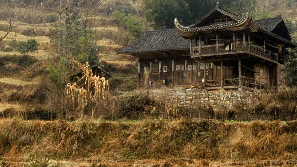 ‘What About China?’ - Museu do Oriente