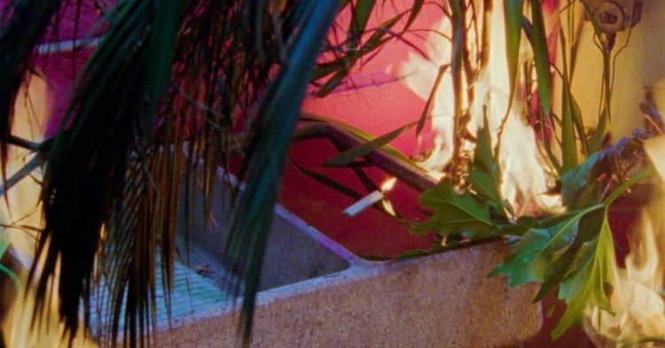 Reluctant Gardener - Território #9