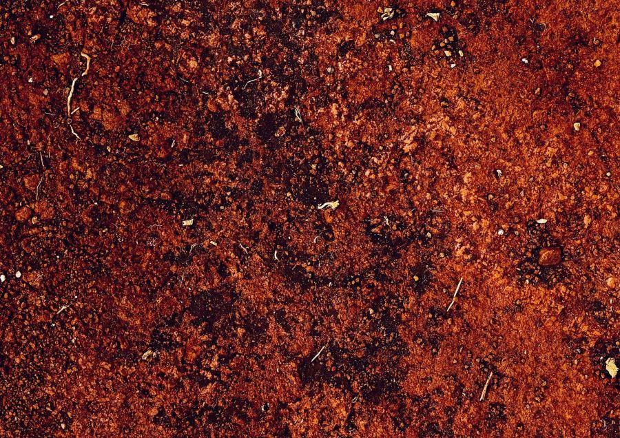 Art’s Birthday 2025 • Sonic Figures Project