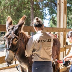 Atelier de Burro | Quinta do Pisão
