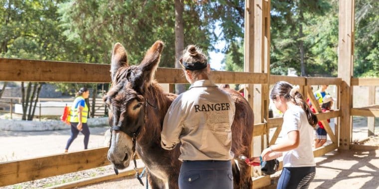 Atelier de Burro | Quinta do Pisão