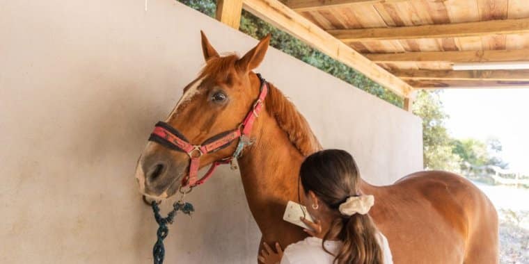 Atelier de Cavalo | Quinta do Pisão