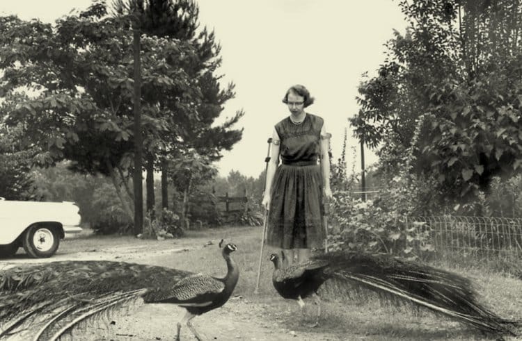 Flannery O’Connor: O Lugar da Literatura na Escola