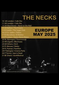 THE NECKS - Teatro Maria Matos