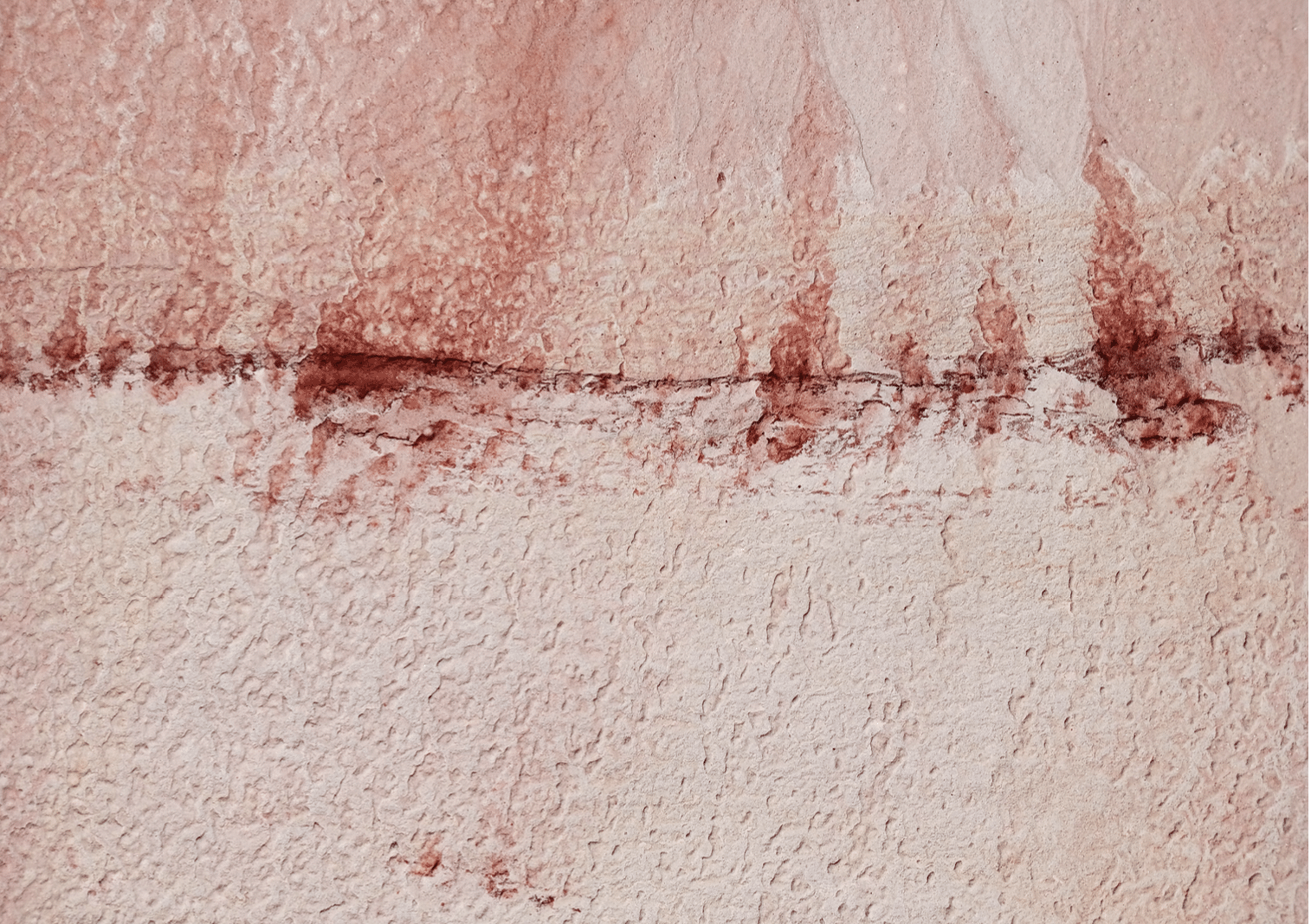 Eunice Artur | Ciclo FEA (Fake Extreme Art)