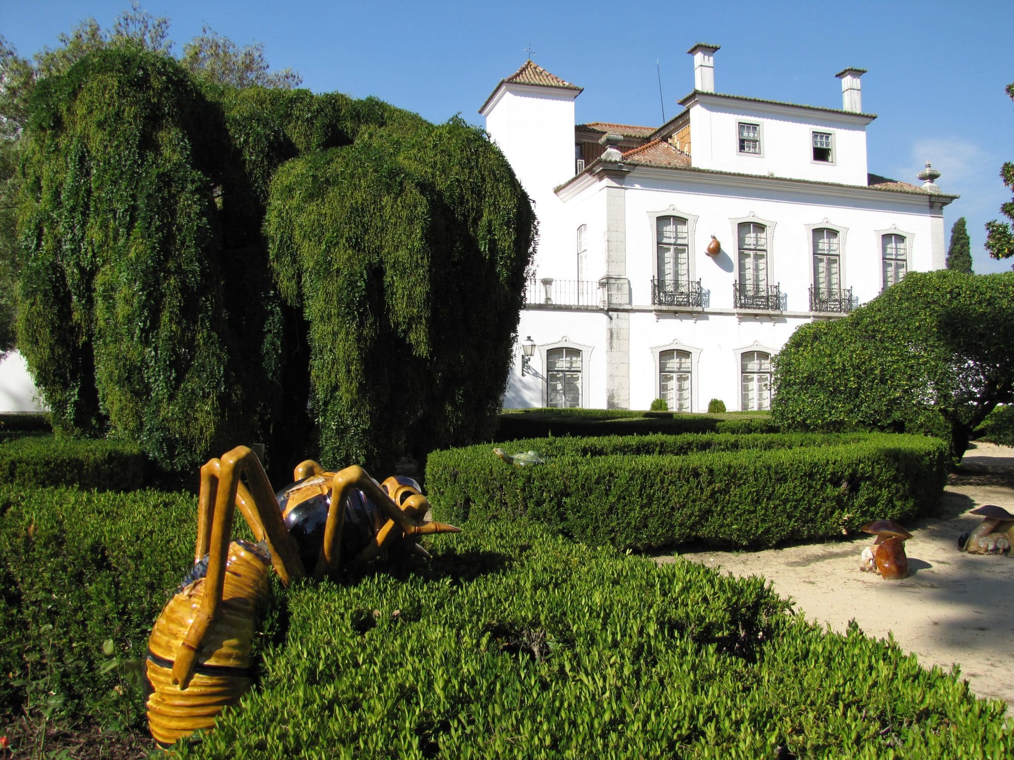 Oficina • À descoberta dos polinizadores do jardim