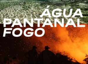 Água Pantanal Fogo