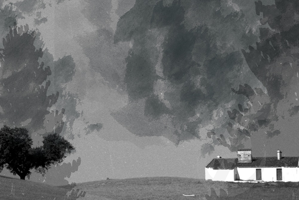 O Monte – Teatro Livre