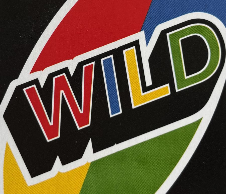 WILD CARD Curadoria de Sara & André