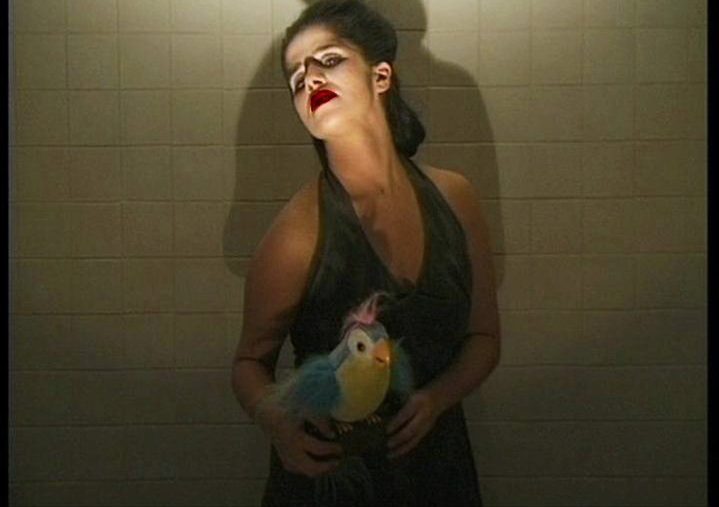 notfogertnotforgive + MINA – song of myself Carlota Lagido