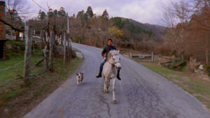 A Savana e a Montanha