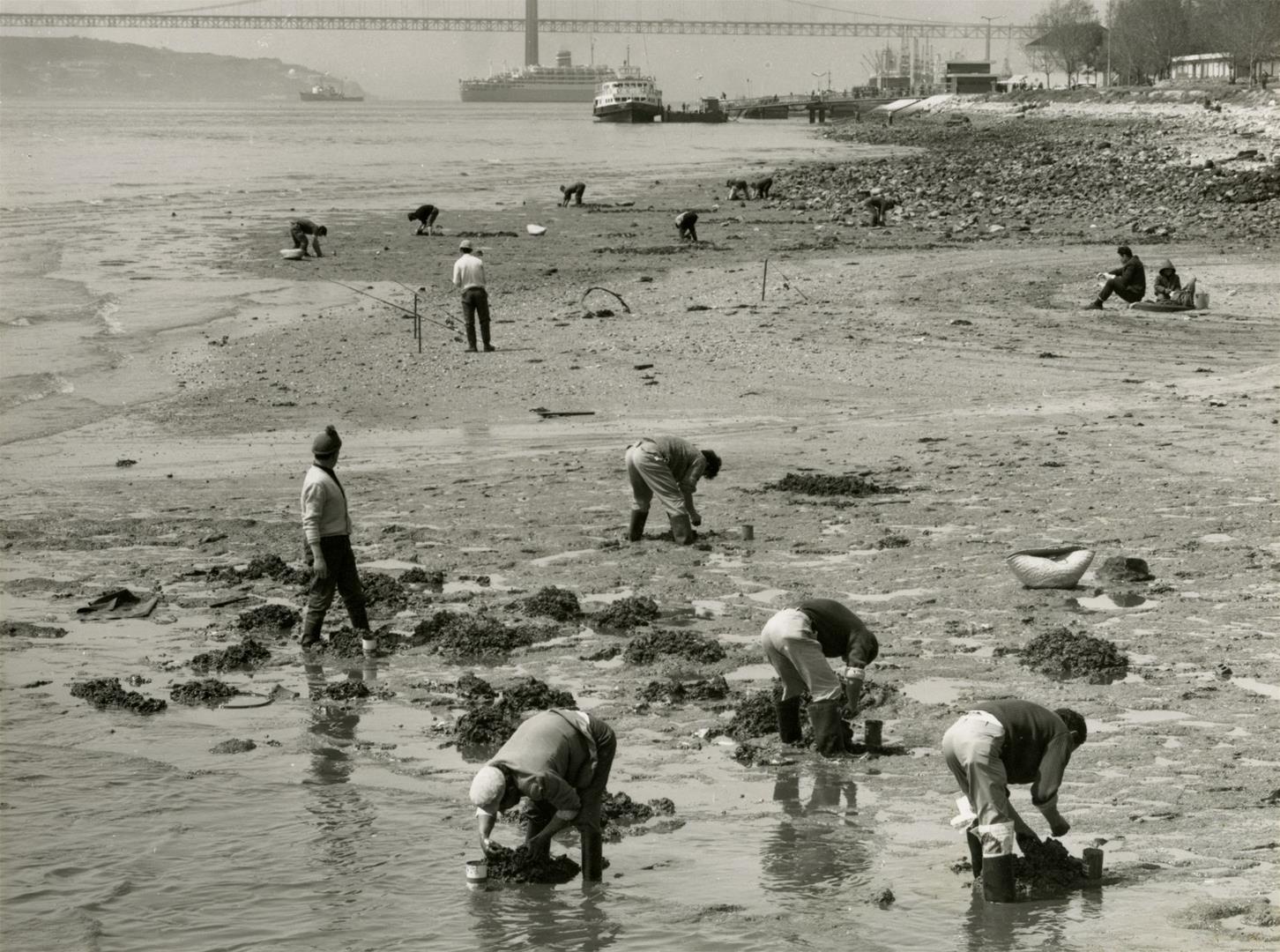 Crónicas de uma Lisboa Desconhecida: Histórias Fora do Roteiro Tradicional