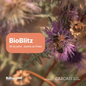 A Quinta do Pisão - Parque Natureza celebra o Dia da Conservação da Natureza, com um Bioblitz,