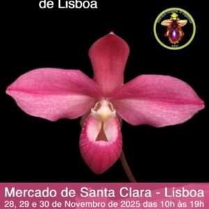 9ª EXPOSIÇÃO INTERNACIONAL DE ORQUÍDEAS DE LISBOA
