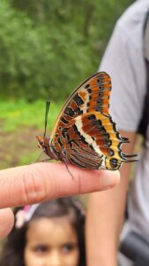 Exploração da Natureza na Quinta Alegre – Lisboa