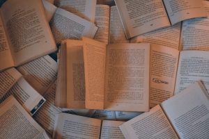 Perspectivas para a Tradução Literária