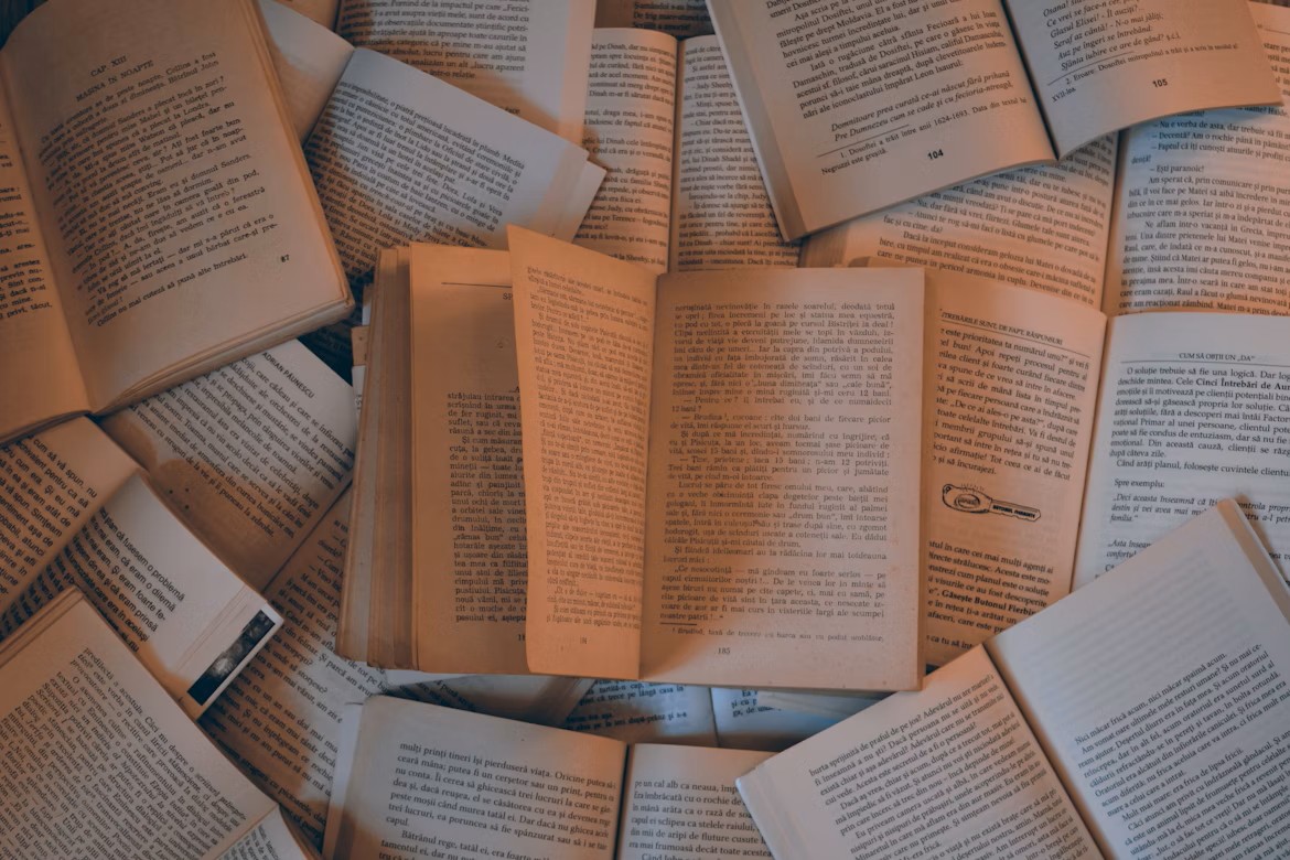 Perspectivas para a Tradução Literária