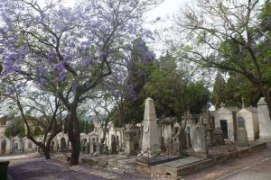 Cemitérios de Lisboa – Percursos guiados