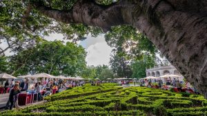 Festa do Livro em Belém 2025: Literatura, Música e Atividades para Toda a Família