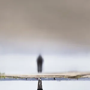 Itinerário: Rogério Nuno Costa apresenta laboratório artístico e sustentável em Lisboa