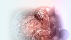 Alfonso Martínez Arias ao vivo — “Genética não é assim tão simples”