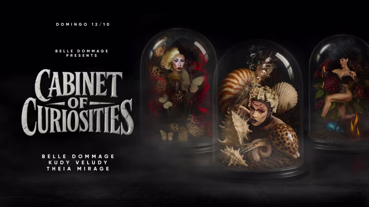 Belle Dommage apresenta Cabinet Of Curiosities #12