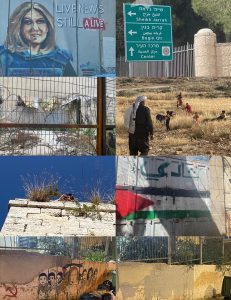 Exercício de Montagem - Joana Craveiro