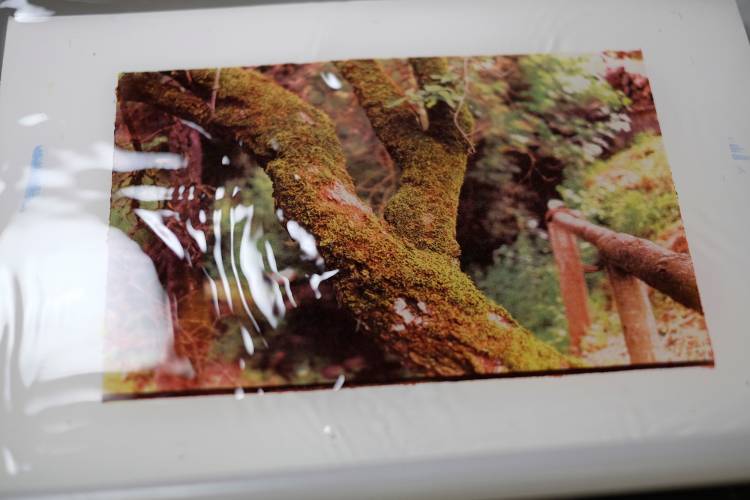 Oficina de Goma Bicromatada a Cores — O fascínio da fotografia artesanal