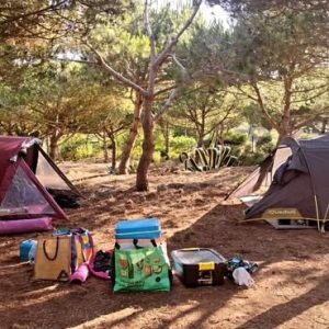 Acampar em Família