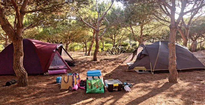 Acampar em Família