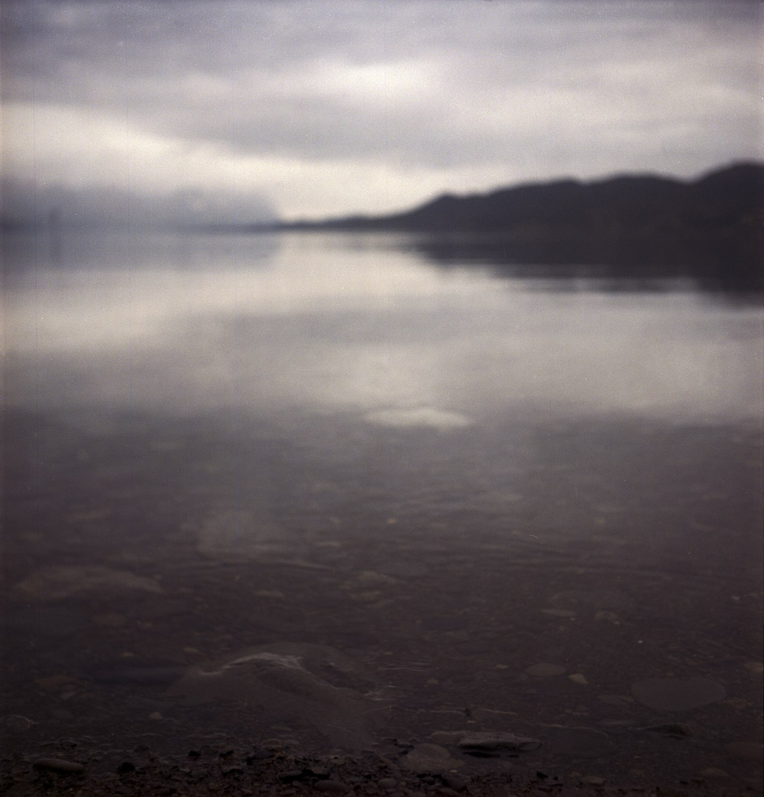 Rui Soares Costa – Alma Matter