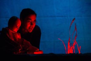 À PROCURA DO Ó-Ó PERDIDO