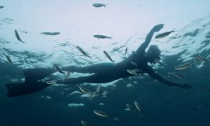 ‘Lindo’, de Margarida Gramaxo