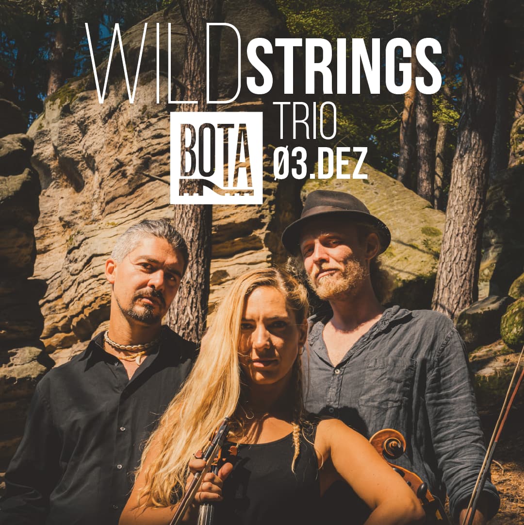 Wild Strings Trio ao vivo