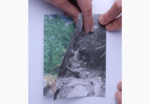 o que se abre em nós — Sofia Dias & Vítor Roriz