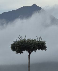 Corpo Nómada — Uma História de Errâncias