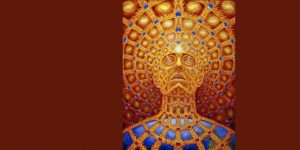 Encontros de Sabedoria: um ciclo de partilhas inspiradoras