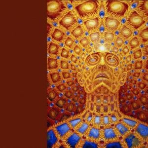 Encontros de Sabedoria: um ciclo de partilhas inspiradoras