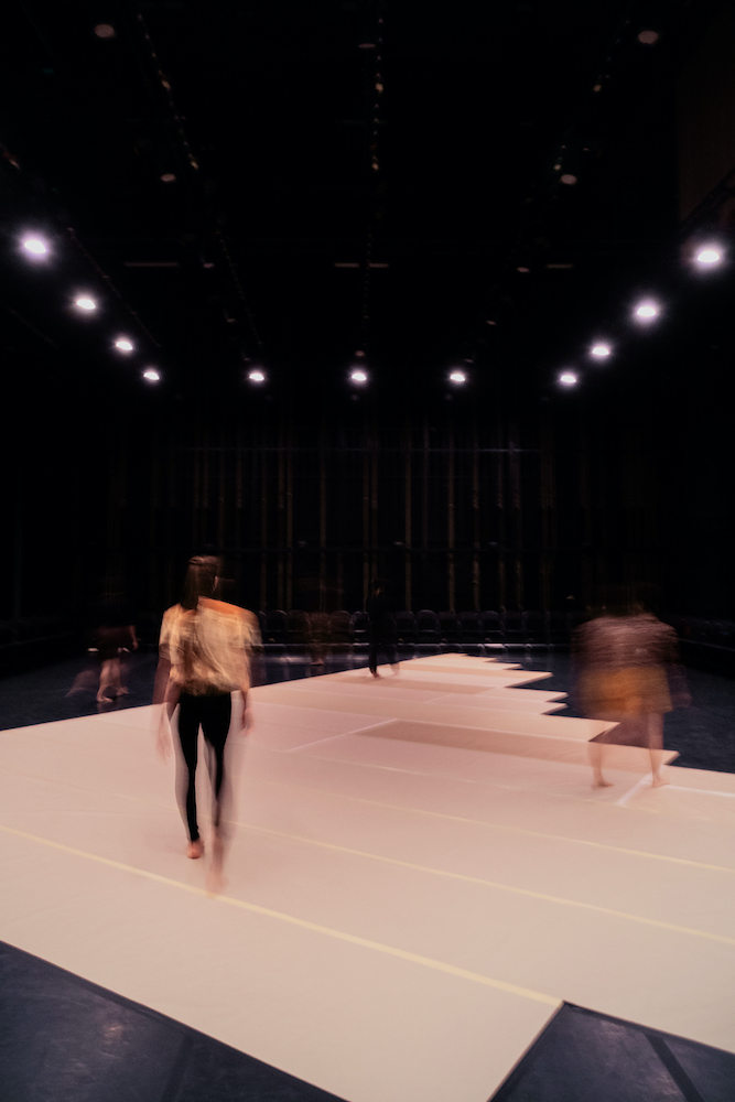 Alkantara Festival | Vânia Doutel Vaz: violetas